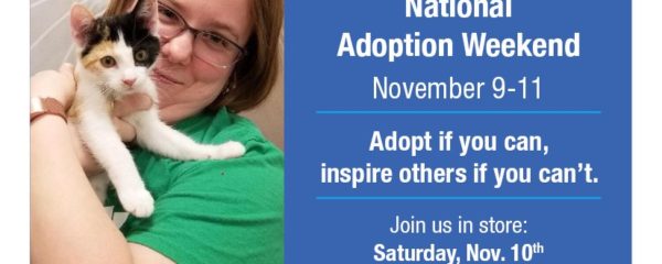 Falling in Love: Smitten by Kitties